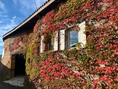 Jardin de l'établissement Le Gîte de Buffetières