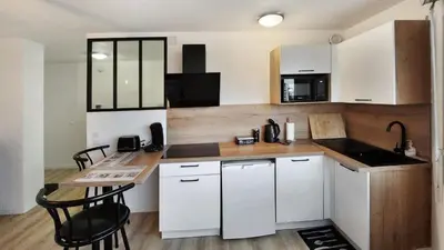 Cuisine ou kitchenette dans l'établissement Studio cosy élégant
