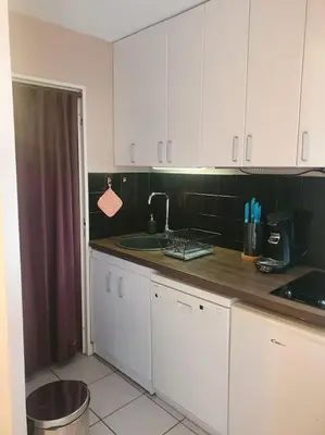 Cuisine ou kitchenette dans l'établissement Lyon 8 Grange Blanche Appartement calme de 50 m²