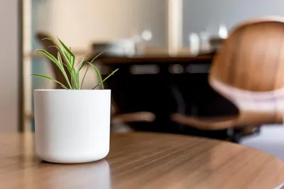 Plan de l'établissement All in Lyon | Studio chic & parking