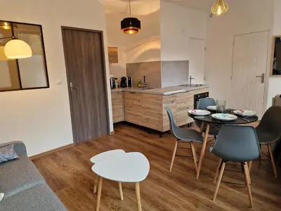 Cuisine ou kitchenette dans l'établissement l'Appart des Pierres Dorées
