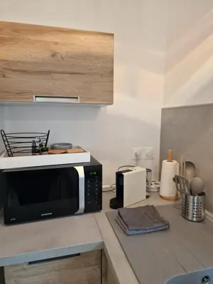 Cuisine ou kitchenette dans l'établissement l'Appart des Pierres Dorées