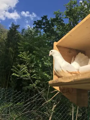 Plan de l'établissement Grand appart 150m2 dans belle maison bourgeoise