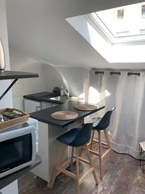 Cuisine ou kitchenette dans l'établissement Studio cocooning et refait à neuf. Lyon 06
