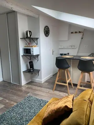Cuisine ou kitchenette dans l'établissement Studio cocooning et refait à neuf. Lyon 06