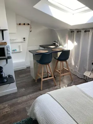 Un ou plusieurs lits dans un hébergement de l'établissement Studio cocooning et refait à neuf. Lyon 06