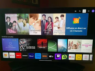 Télévision ou salle de divertissement dans l'établissement La Maison des Palombes