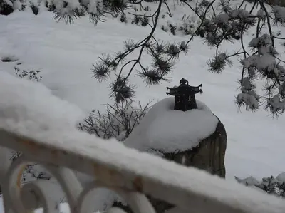 L'établissement Maison de famille en Beaujolais vert en hiver