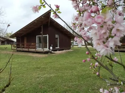 Jardin de l'établissement CAMPING DE LA CHALARONNE