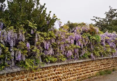 Jardin de l'établissement comme à la maison