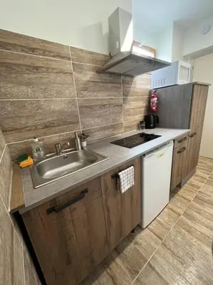 Cuisine ou kitchenette dans l'établissement Superbe appartement à 15 min de Lyon