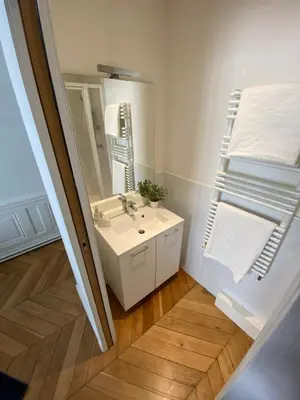 Salle de bains dans l'établissement Beautiful 3BR Apt in Lyon Center