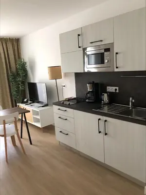 Cuisine ou kitchenette dans l'établissement Domitys Les Pierres Dorées