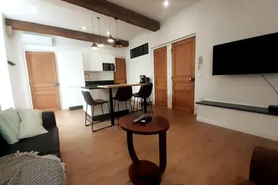 Télévision ou salle de divertissement dans l'établissement Classé 4 étoiles - Cybèle - Centre ville 2 Chambres, cour privative et Garage