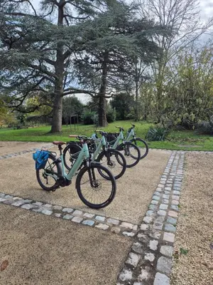 Vélo sur le terrain de l'établissement Douceurs des vignes du Vivian ou dans les environs