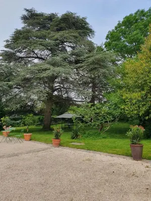 Jardin de l'établissement Douceurs des vignes du Vivian