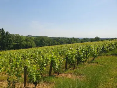 Paysage naturel près de la maison de vacances