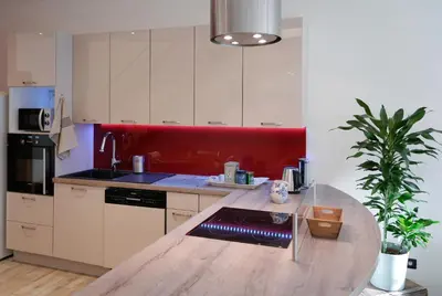 Cuisine ou kitchenette dans l'établissement Auberge du Vieux Pont